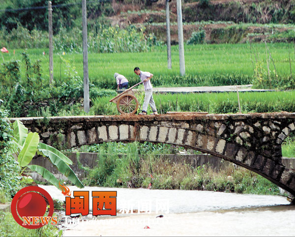 上杭南阳镇茶溪村乱倒弃土目击记