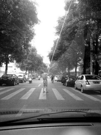 男子手持长杆 马路中摘芒果