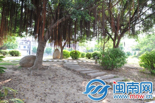 伍堡公园一处树下,没有绿化,光秃秃