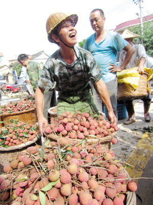 荔枝喜丰产 价低怎么办1