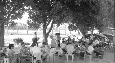 老人树下唠家常