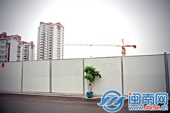 一盆用来点缀苍白围栏的绿色植物