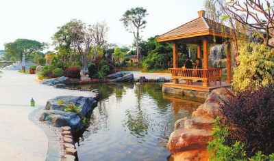 　龙海九湖公园一景