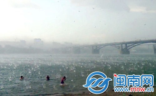 俄罗斯一海滩突然下起冰雹,不少人被砸出淤青