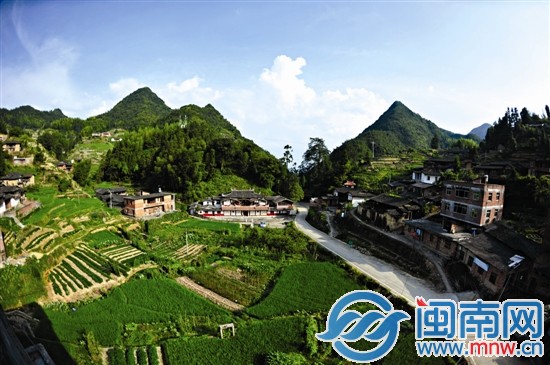 福中村苍翠的自然生态