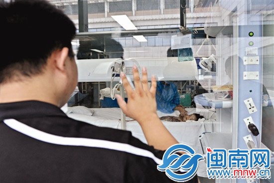 病房外，爸爸跟小雨薇打招呼