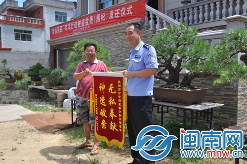黄先生为民警送来锦旗，背后是黑松盆栽