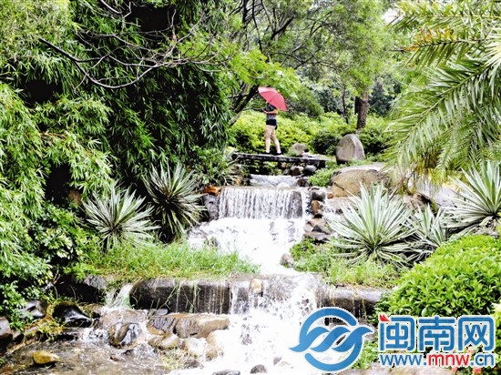 泉州森林公园里现一道小瀑布